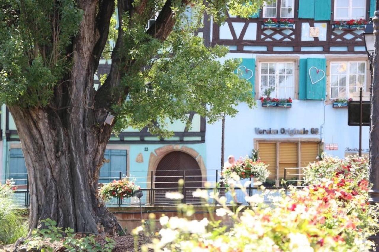Gite Moka45 Centre Historique "Climatise" Colmar Exteriör bild